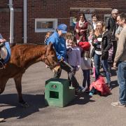 2017-04-09_15-pony-ride-crowd