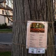 2017-04-14_3-Poet-Tree-Walk